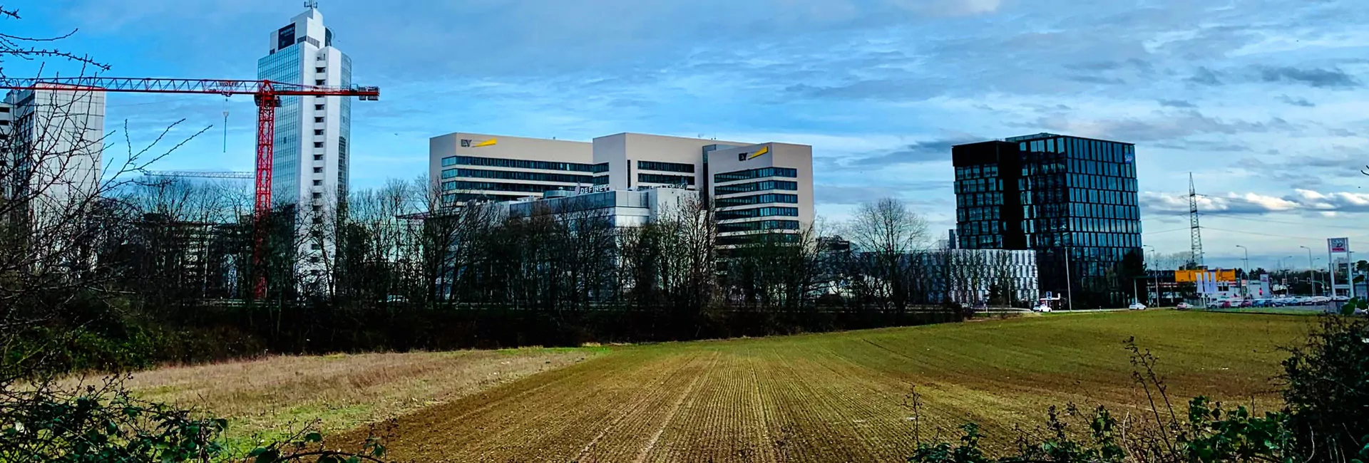 Sioux Blumenwiese in Eschborn