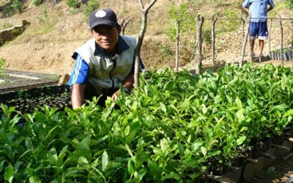 Eva Danulat, Geo schützt den Regenwald e.V.