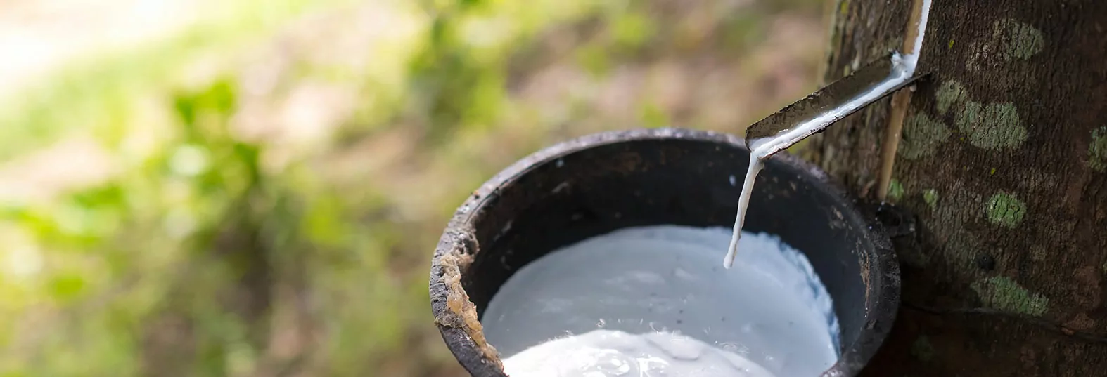 De crêpezool – door een door een natuurproduct